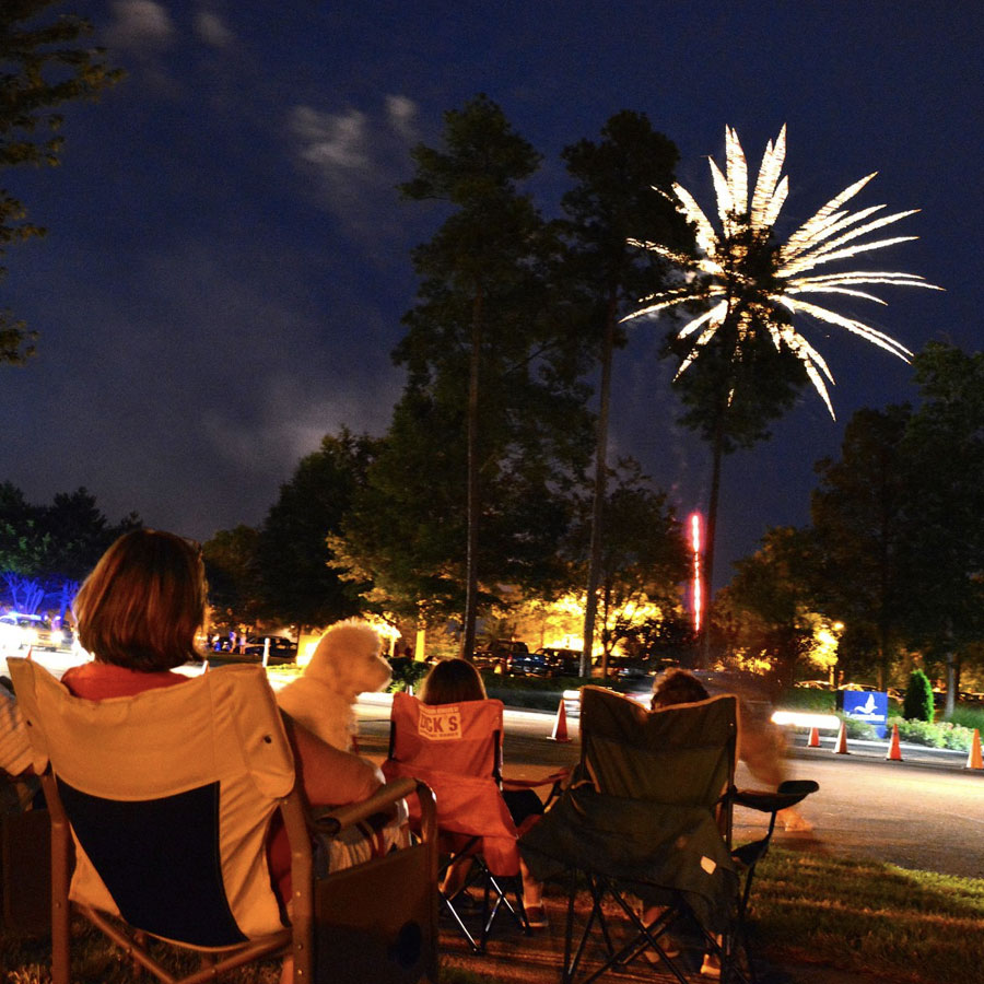 Fireworks at night